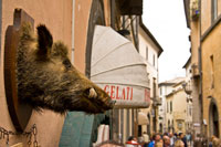 Orvieto boar's head